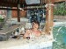 v baru u bazénu Selang, Bali, resort pana Hrušky